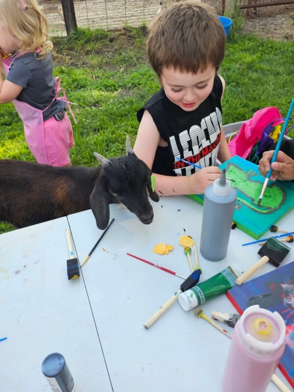 Painting With Goats